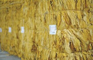 Logística para o tabaco | Regras que valem ouro na hora do transporte