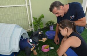 Quintal da Dengue ensina como evitar a proliferação do mosquito na Apae