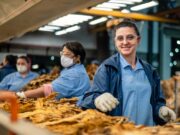BAT Brasil completa 120 anos de história com foco na produção sustentável de tabaco