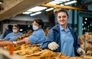 BAT Brasil completa 120 anos de história com foco na produção sustentável de tabaco