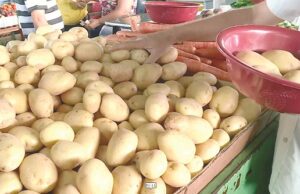 Bolso do consumidor | Cesta básica tem redução no último mês