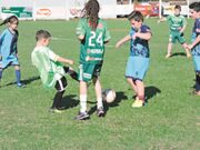 Galinha Recheada | Festival vai focar a área social