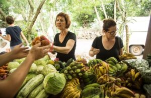 Ecovale celebra 23 anos de produção agroecológica com abertura da feira de mulheres “Amoras”