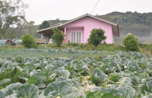 Programa habitacional | Agricultores podem propor construção de casas