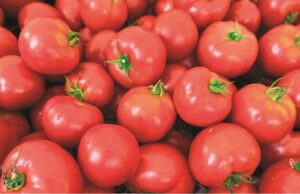 Bolso do consumidor | Em um mês, custo da cesta básica cai 4,30% em Santa Cruz