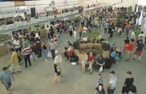 Evento | 1ª ExpoFeira Rural registra público de 23 mil pessoas