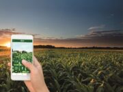 Inovação | Aplicativo Afubra Agro conta com nova ferramenta para o associado