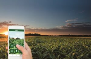 Inovação | Aplicativo Afubra Agro conta com nova ferramenta para o associado