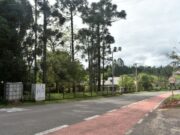 Da política à ciência, homenageados cedem nomes a ruas