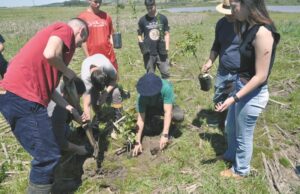 Proteção | Inicia revitalização de nascentes em colégio técnico de Encruzilhada do Sul