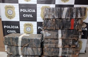 VIDEO | Polícia Civil apreende 257 quilos de maconha na ERS-409