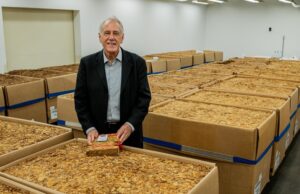 Tabaco | Exportações superam US$ 2,72 bilhões em 2023