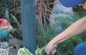 Santa Cruz contra a dengue | A prevenção é o melhor antídoto!