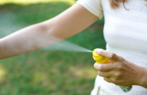 Saúde | Município registra queda nos casos de dengue