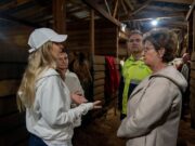 Repasse | Prefeita Helena anuncia aumento de recursos para ONG Cavalo de Lata