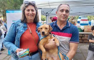 Carinho | Feira de Adoção encaminha nove animais para novos tutores