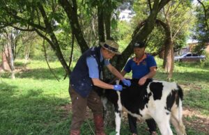 Dia do Veterinário | Cuidar dos animais e do bem-estar das pessoas