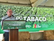 AGRICULTURA | Aberta oficialmente a colheita do tabaco no Rio Grande do Sul