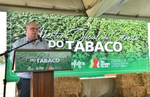 AGRICULTURA | Aberta oficialmente a colheita do tabaco no Rio Grande do Sul