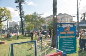Pets | Domingo de sol marca inauguração de dog park na Praça da Bandeira