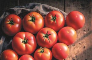 Economia | Cesta Básica tem aumento chegando em R$ 664,13, uma elevação de R$ 41,29