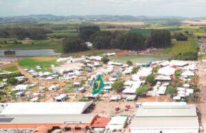 Expoagro Afubra | Superação e crescimento em meio às adversidades