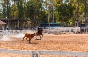 Evento | Parque pronto para receber a Fecars