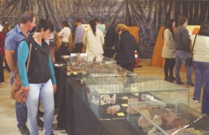 Expocande 2025 | Vai começar a festa e feira de Candelária