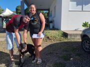Bem-estar animal | Centro abre as portas e animais têm novos lares