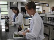 Dengue | Unisc entra na luta contra o mosquito