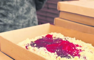 Festa das Cucas | Prévia do evento movimenta a Praça Getúlio Vargas