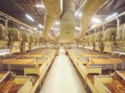 Dia da Indústria | Quando o agro encontra a indústria