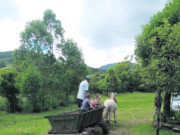 Trabalhador Rural | Data celebra a força das pessoas do campo
