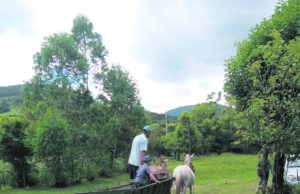 Trabalhador Rural | Data celebra a força das pessoas do campo