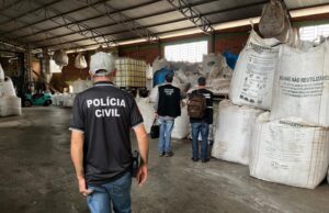 Segurança | Operação da Polícia Civil apreende 384 toneladas de sementes ilegais