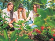 Combate ao trabalho infantil | Crescer Legal transforma a realidade de jovens rurais