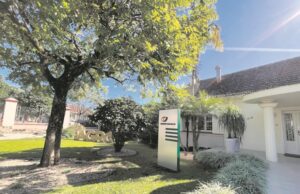 SindiTabaco 78 anos | Compromisso com a sustentabilidade da cadeia produtiva