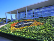 Agricultura familiar | Plano Safra destina R$ 89 bilhões aos pequenos agricultores