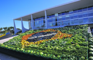 Agricultura familiar | Plano Safra destina R$ 89 bilhões aos pequenos agricultores