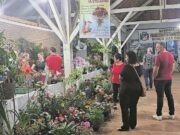 ExpoSin 2025 | Cacis inicia comercialização e planos de patrocínio