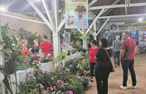 ExpoSin 2025 | Cacis inicia comercialização e planos de patrocínio