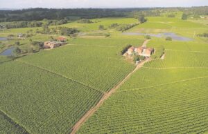 Tabaco | Audiência pública discute desafios e COP 11