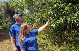 Dia da Árvore | Distribuição de mudas pela Alliance One une produção e preservação