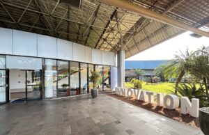 Inovação | BAT Brasil aposta em IA para prever riscos no cultivo do tabaco