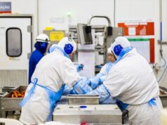 Trabalho | Stifa encerra o ano com negociações coletivas concluídas