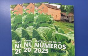 Santa Cruz em Números 2025 | Um retrato atualizado do desenvolvimento municipal