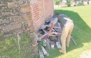 Combate à dengue | Vera Cruz registra alto índice do Aedes