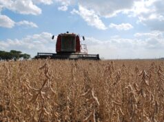 Rio Grande do Sul | Safra de grãos é estimada em 38,9 milhões de toneladas