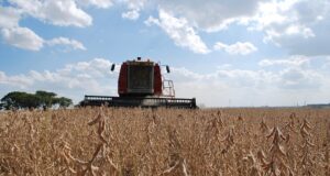 Rio Grande do Sul | Safra de grãos é estimada em 38,9 milhões de toneladas