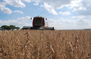 Rio Grande do Sul | Safra de grãos é estimada em 38,9 milhões de toneladas